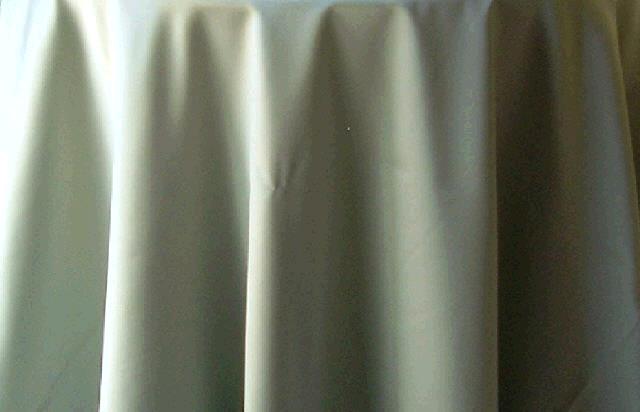 Rental store for SATIN SAGE in  NJ