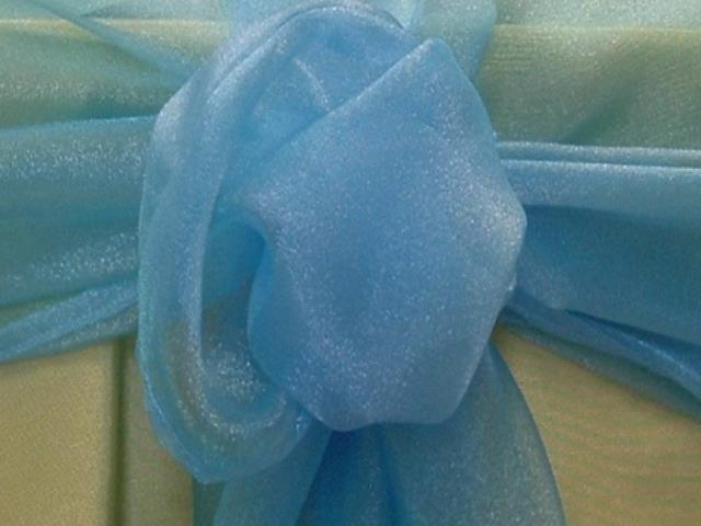 Rental store for SPARKLE ORGANZA BLUE in  NJ
