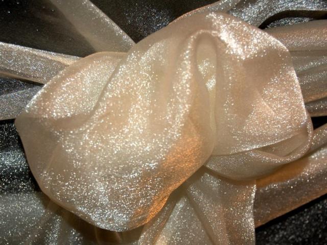 Rental store for SPARKLE ORGANZA IVORY in  NJ