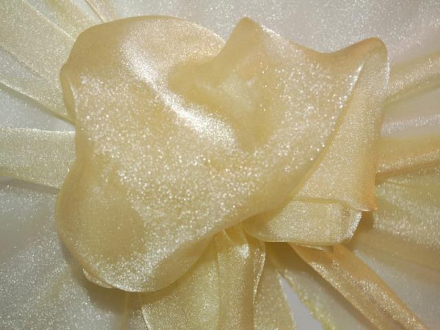 Rental store for SPARKLE ORGANZA MAIZE in  NJ