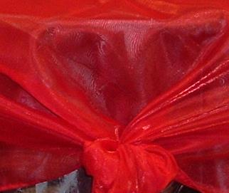 Rental store for SPARKLE ORGANZA ROUGE in  NJ