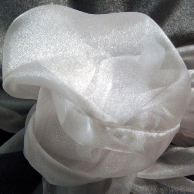 Rental store for SPARKLE ORGANZA SILVER in  NJ