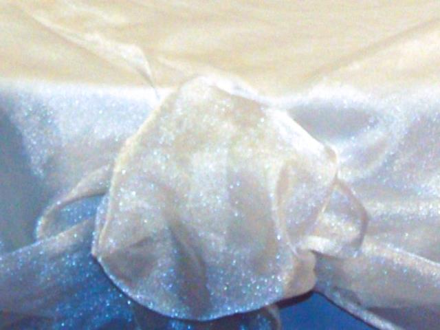 Rental store for SPARKLE ORGANZA WHITE in  NJ
