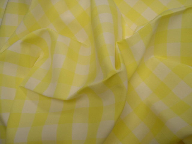 Rental store for CHECK PICNIC LEMON in  NJ