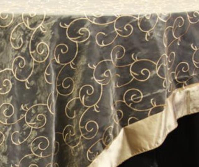 Rental store for ALEXIS CHAMPAGNE in  NJ