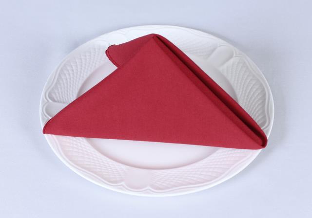 Rental store for COTTONKNOT NAPKINS RED in  NJ