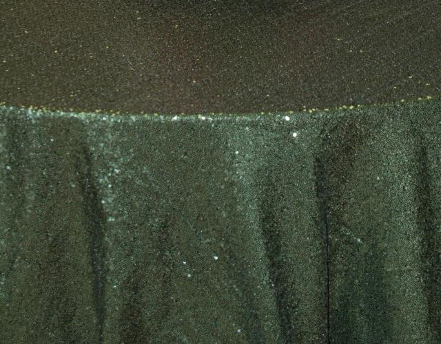 Rental store for SEQUIN WILLOW GREEN in  NJ