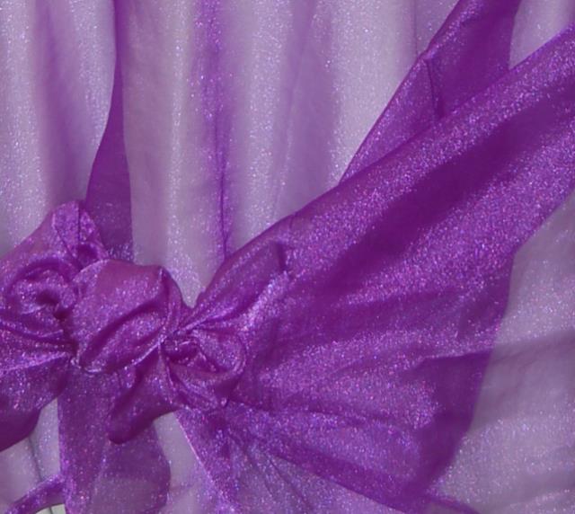 Rental store for SPARKLE ORGANZA PURPLE in  NJ