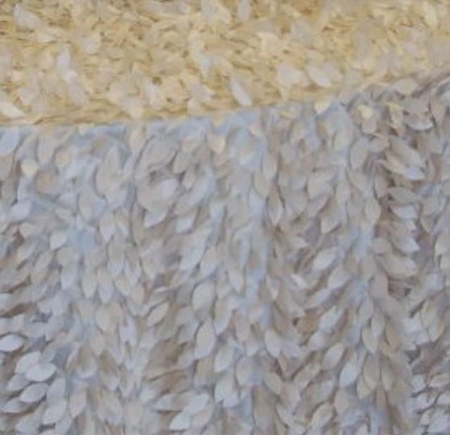 Rental store for PETALS IVORY in  NJ