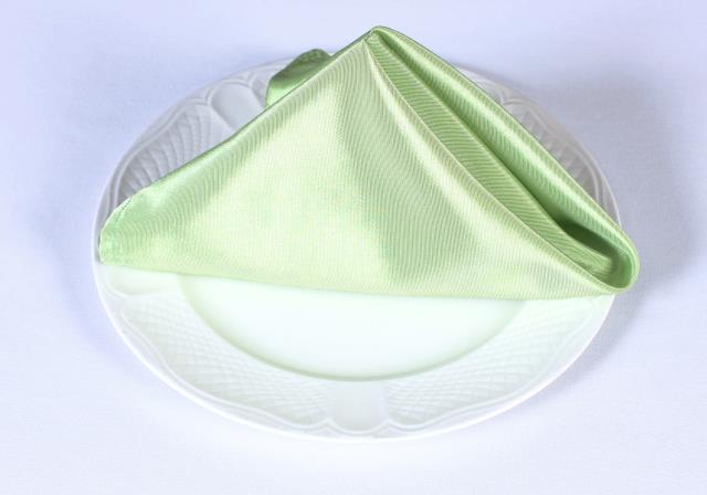 Rental store for BENGALINE NAPKINS in  NJ