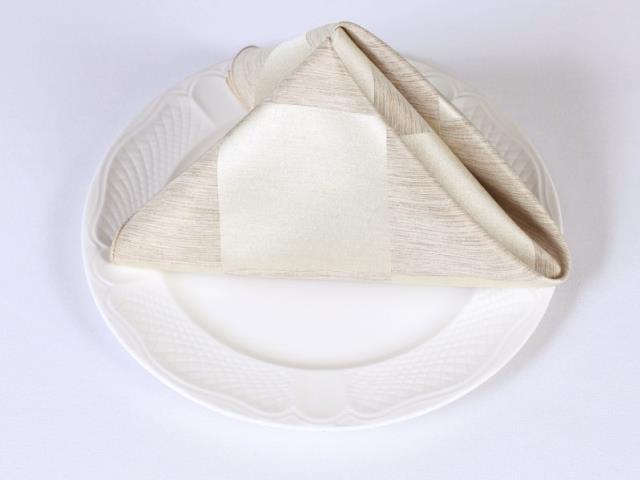Rental store for SILK IMPERIAL CHECK NAPKINS in  NJ
