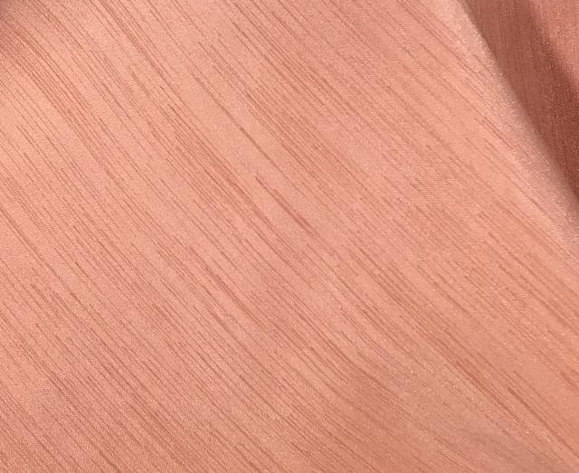 Rental store for REGAL DUPIONI CORAL in  NJ