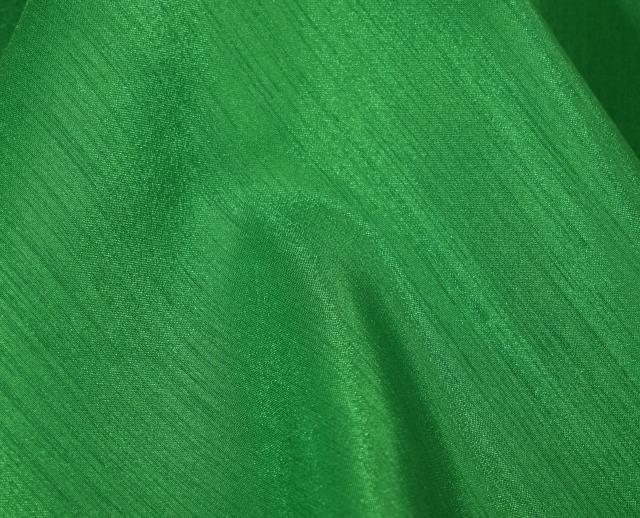 Rental store for REGAL DUPIONI KELLY in  NJ