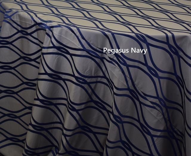 Rental store for PEGASUS NAVY in  NJ