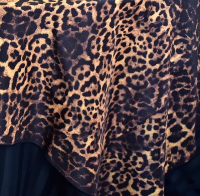 Rental store for JAGUAR in  NJ