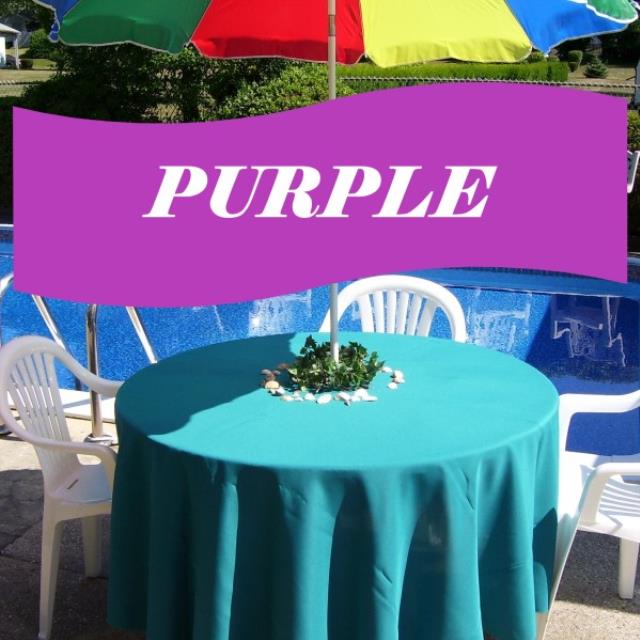 Rental store for UMBRELLA CLOTHS PURPLE in  NJ