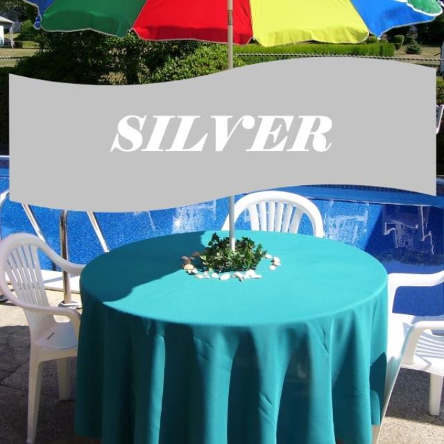 Rental store for UMBRELLA CLOTHS SILVER in  NJ