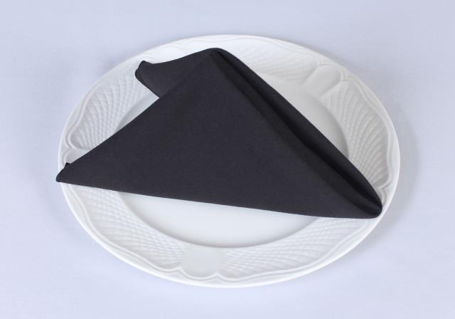 Rental store for COTTONKNOT NAPKIN BLACK in  NJ