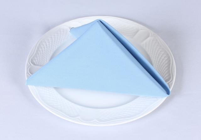 Rental store for COTTONKNOT NAPKINS BLUE in  NJ