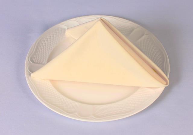 Rental store for COTTONKNOT NAPKIN IVORY in  NJ