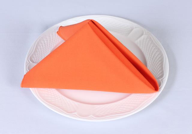 Rental store for COTTONKNOT NAPKINS ORANGE in  NJ