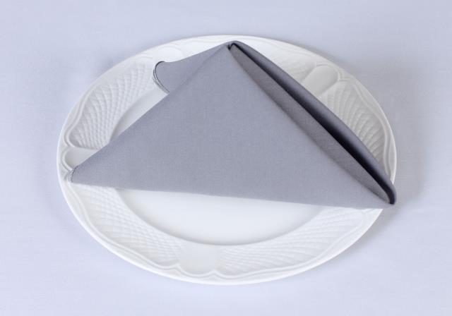 Rental store for COTTONKNOT NAPKINS SILVER in  NJ