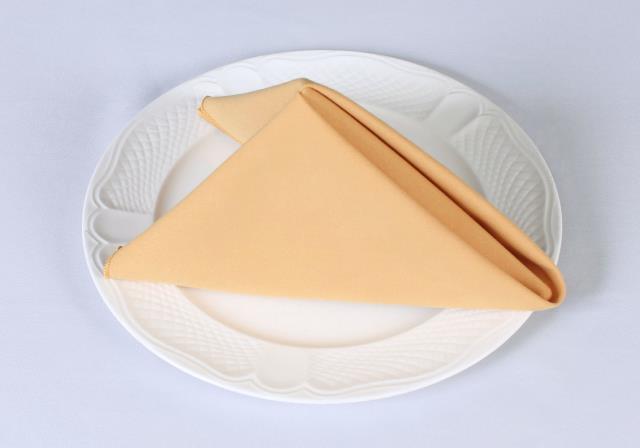 Rental store for COTTONKNOT NAPKINS YELLOW   GOLD in  NJ