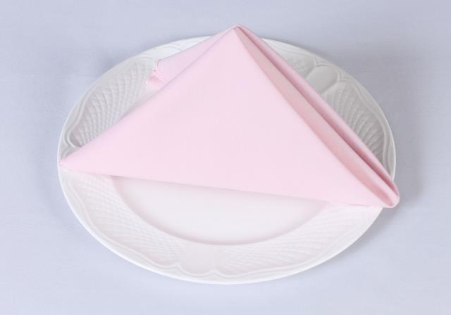 Rental store for COTTONKNOT NAPKINS PINK in  NJ