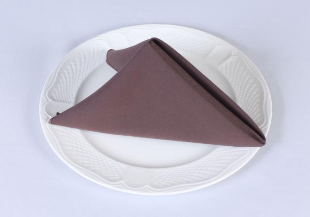 Rental store for COTTONKNOT NAPKINS TAN   BROWN in  NJ