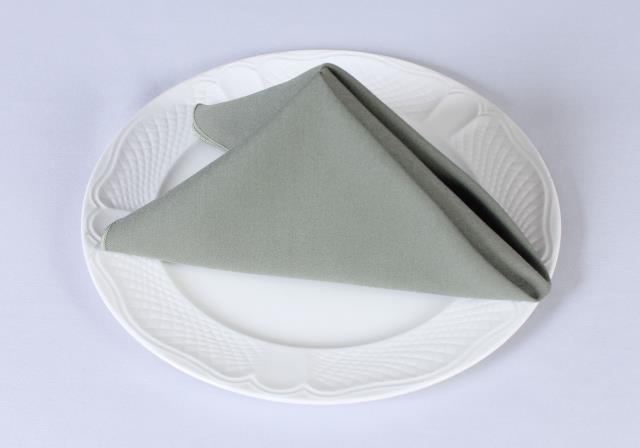 Rental store for COTTONKNOT NAPKINS GREEN in  NJ