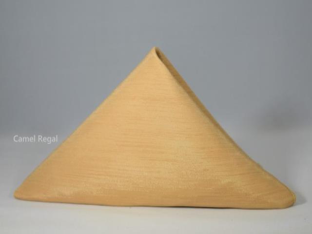 Rental store for REGAL DUPIONI NAPKINS TAN   BROWN in  NJ