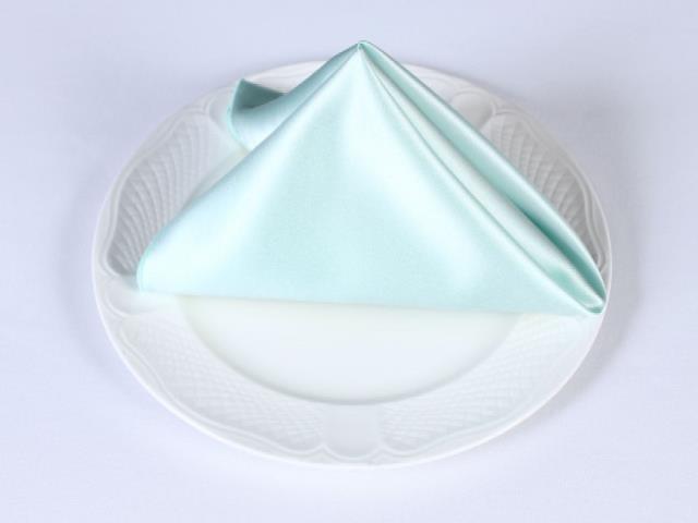 Rental store for SATIN NAPKINS GREEN in  NJ