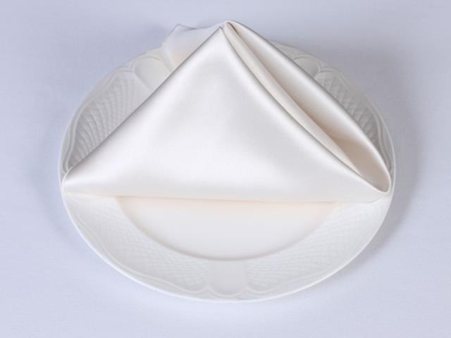 Rental store for SATIN NAPKIN IVORY in  NJ