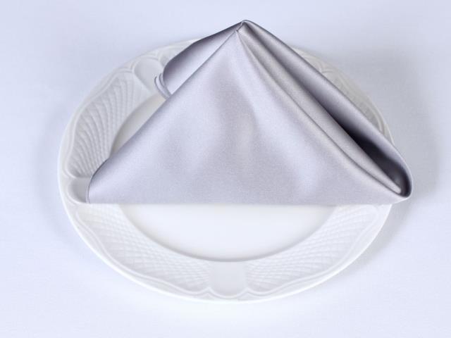 Rental store for SATIN NAPKINS SILVER in  NJ
