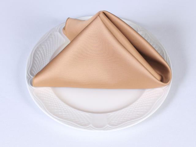 Rental store for SATIN NAPKINS TAN   BROWN in  NJ