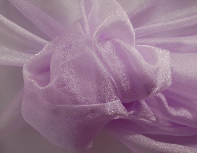 Rent Sparkle Organza 